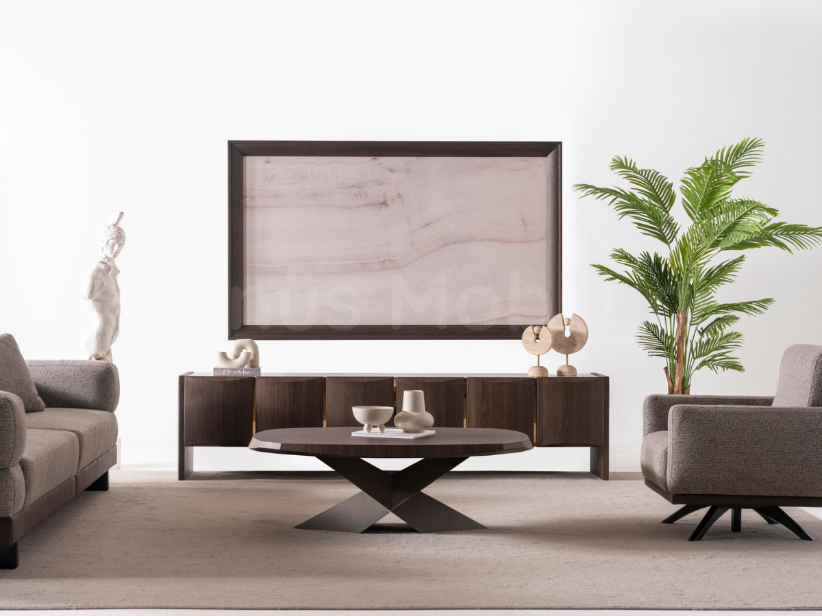 RAPİD TV ÜNİTESİ